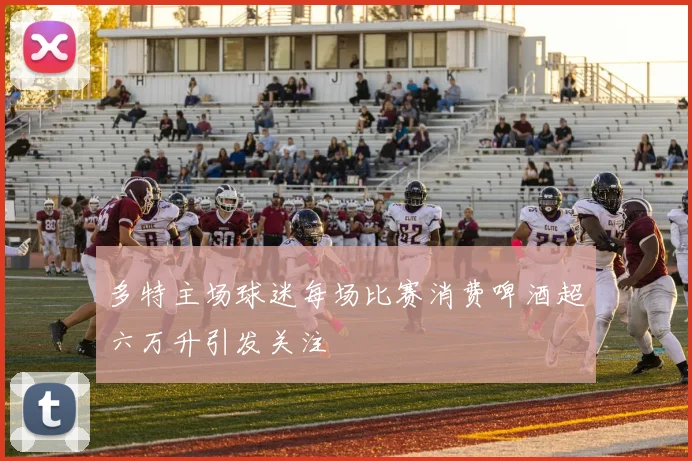 多特主场球迷每场比赛消费啤酒超六万升引发关注