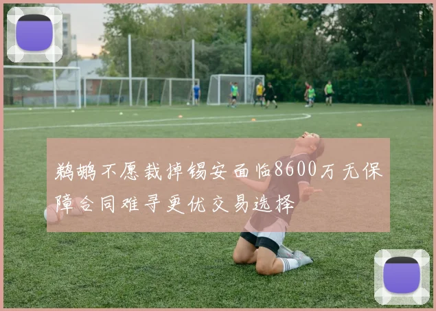 鹈鹕不愿裁掉锡安面临8600万无保障合同难寻更优交易选择